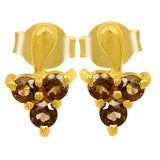Classic Sterling Silver Earring With Gold Plating And Smokey Stones - Fashion Apparel 
