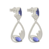 Rhodium Plated Sterling Silver Earring With Oval Shaped Iolite Stones - Fashion Apparel 