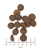 Wolfsblut - Blue Mountain - Fashion Apparel 