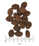 Wolfsblut - Wild Pacific - Fashion Apparel 